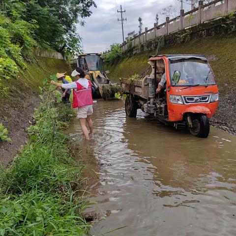 水渠清理在行动