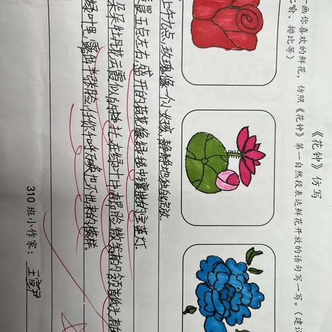 仿一仿，写一写【310小作家】