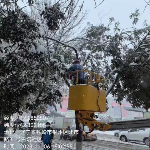 园林中心以雪为令 凝心聚力  彰显本色