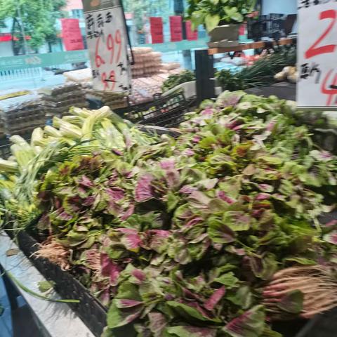 宝塔店市调卫斌：小黄商