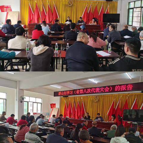 群山村党支部组织学习省委书记沈晓明在省第八次代表大会报告内容