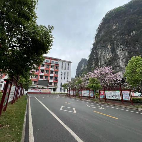 苗家小镇小学跟岗学习第一天