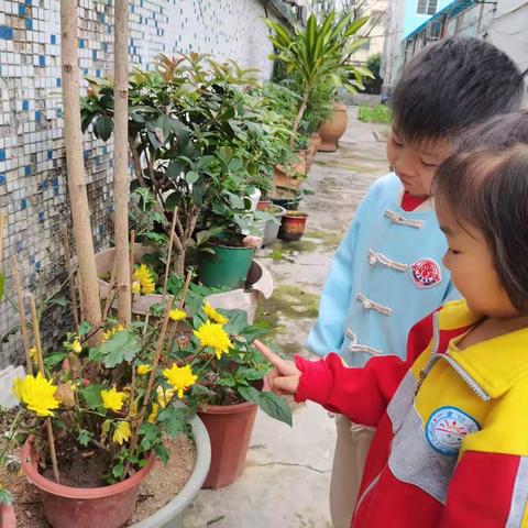 小二班探索课程 ——《幼见花开》