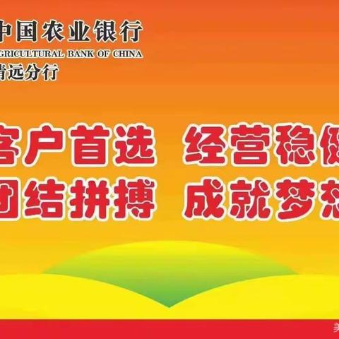 【阳山支行】分行风险管理部到阳山支行开展押品内部评估培训