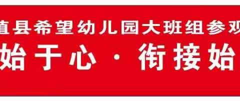 【幼小衔接】幼小始于心.衔接始于行——桑植县希望幼儿园大三班参观小学活动（副本）