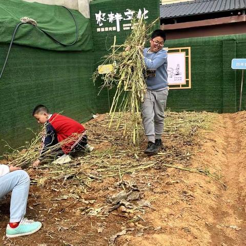 播种希望，静盼花开！ ——洪岭小学劳动基地开始播种啦！