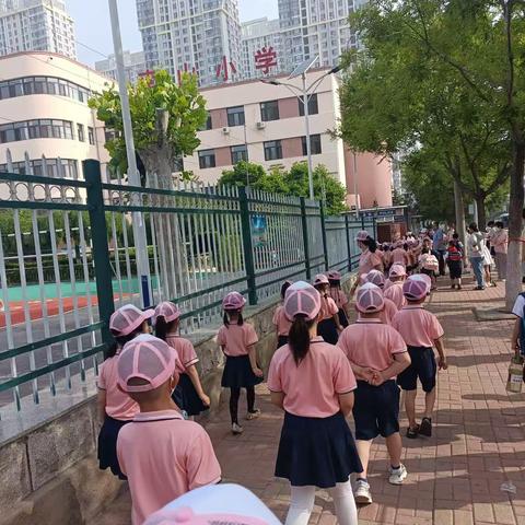 绿苑幼儿园幼小衔接活动——走进南山小学