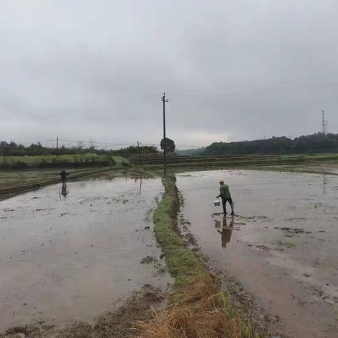 助力春耕我们在行动