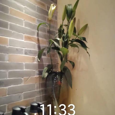 笋岗店4月19日开市检查