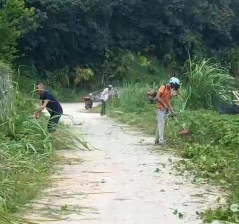 群英乡开展农村公路路肩杂草清理活动