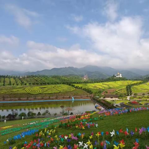 我与花海有个约会