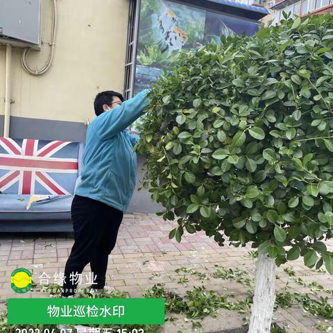 合缘物业永新里社区近期工作汇报