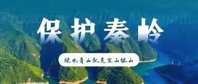 “双减旅途中，共促生态行”———陕西省林业厅赴青木川镇九年制学校进行生态教育活动纪实