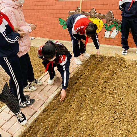 春耕小少年，拾取田埂间——吴家庄小学4月学农基地实践活动纪实