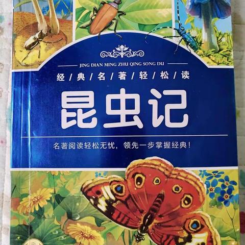 精彩“虫”逢之旅—崇文小学三年级《昆虫记》整本书阅读活动纪实