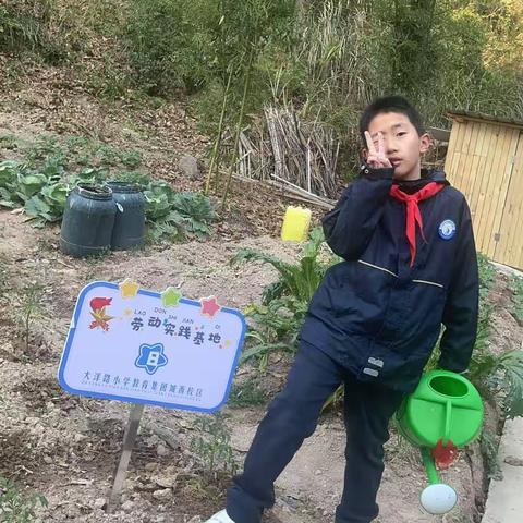 一亩三分地，在我们的精心照顾下，长出果实咯