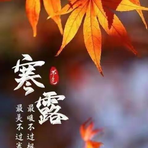 寒露至， 秋意浓———西泉新时代幼儿园“寒露”节气主题教育活动