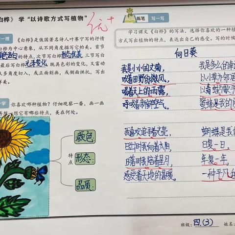 我手写我心｜临沂朴园小学2019级3班《白桦》小练笔撰写记录