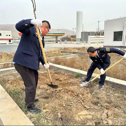 携手开展植树活动美化亮化绿色站区        ——兰州南绕城收费所金城南收费站与兰州南服务区开展植树活动