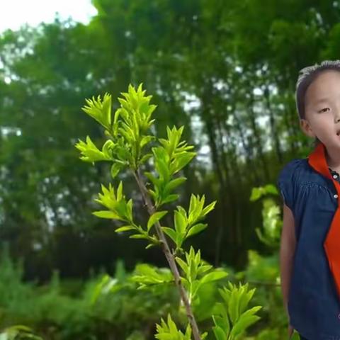 一路书香 一生阳光