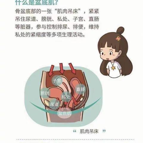 关注盆底康复  关爱女性健康——衡东县人民医院开展盆底康复治疗