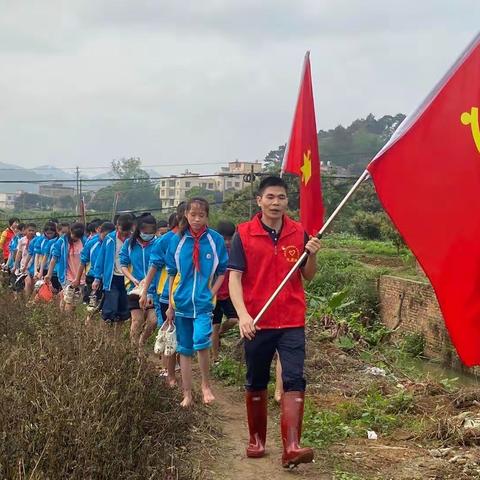 “水稻插秧正当时”--灵山县灵城镇那银小学联合支部开展劳动教育实践活动
