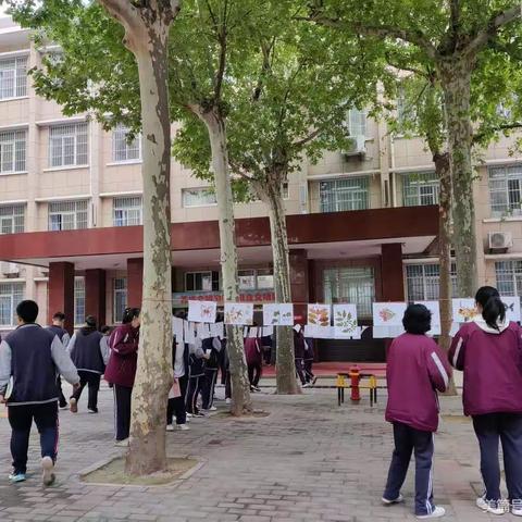 ＂好奇探索未知，创新点亮未来＂ ——咸阳市育才田家炳中学第十四届科技节暨第五届学科创新节系列报道之高一生物