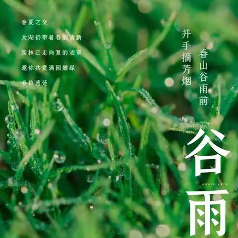 走进谷雨，播种希望