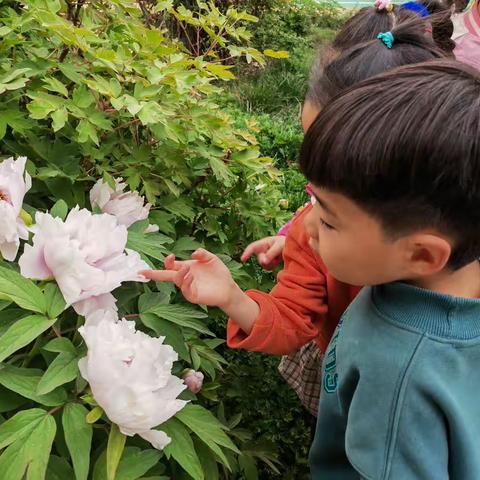 ❤️我和春天有个约会❤️—信大洛阳校区幼儿园中一班徒步赏花“画蝴蝶”活动