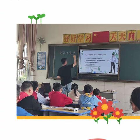 展现思维风采 享受数学魅力——临港镇乐河片区数学优质课竞赛活动
