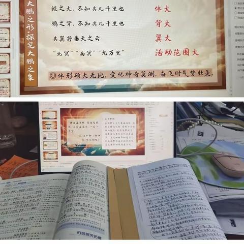 👀《北冥有鱼》----4月新课纪实.amazing📸