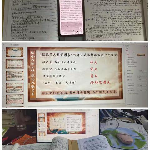 👀《北冥有鱼》----4月新课纪实.amazing📸