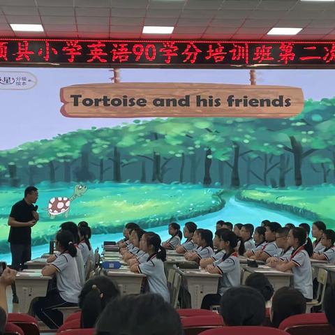 Tortoise and His Friends