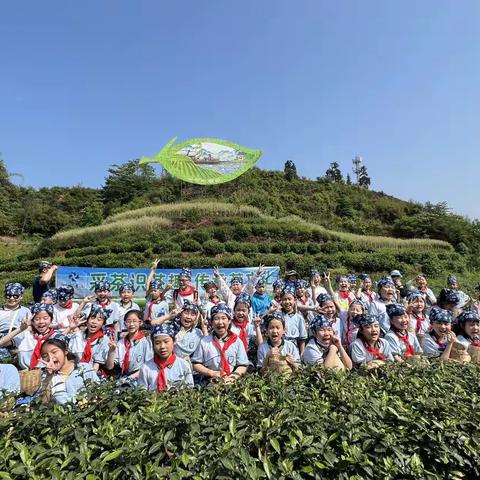 梅岭茶文化研学游～泸州实验小学三年级1班