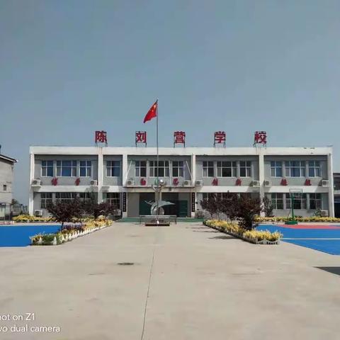 刘营镇总校陈刘营小学举行“关爱学生健康，我们一直在行动”主题活动