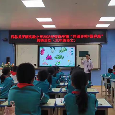 同样的《花钟》，不同地绽放﻿    ——西林县罗湖实验小学教研活动纪实