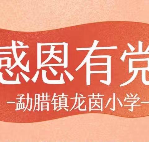 “听党话 感党恩 跟党走”主题宣讲活动——勐腊县勐腊镇龙茵小学