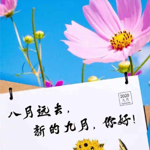 泓德物业-英伦花园项目八月月报