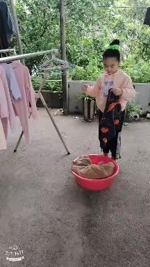 🌟 我劳动  我光荣 🌟