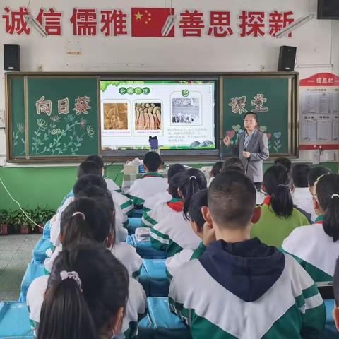 探索微生物王国的秘密——五四班向日葵课堂