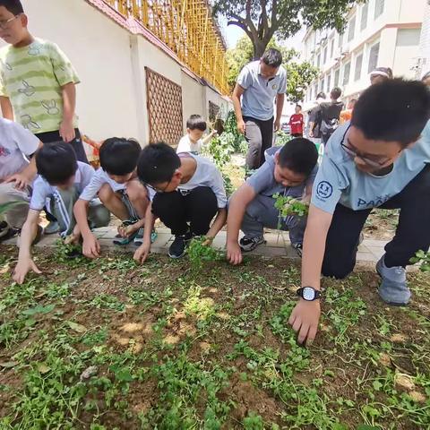 寓教于乐  育才与勤——蚌四小东篱园