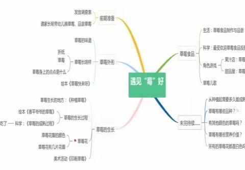 【走进儿童生活的“班本课程”】中一班《遇见“莓”好》