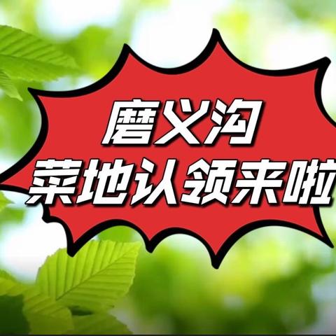 “今天，你种地了吗？”——延川县贾家坪镇磨义沟村菜地认领来啦😍😍😍