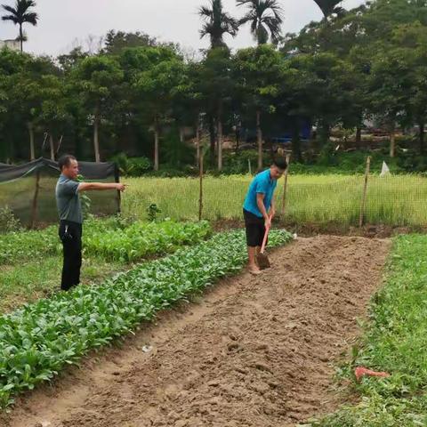 抱由镇组织开展罂粟种植排查铲除整治活动