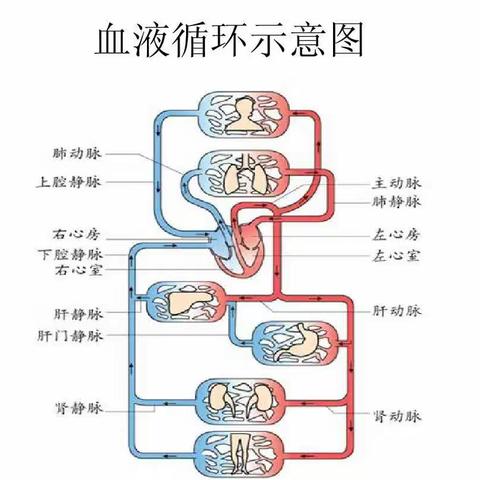 让“循环”看得见，让思维有提升