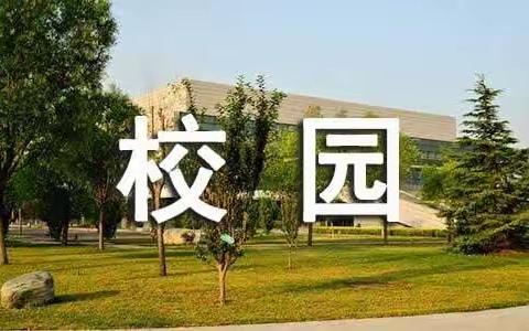 杨庄小学的快乐的校园生活