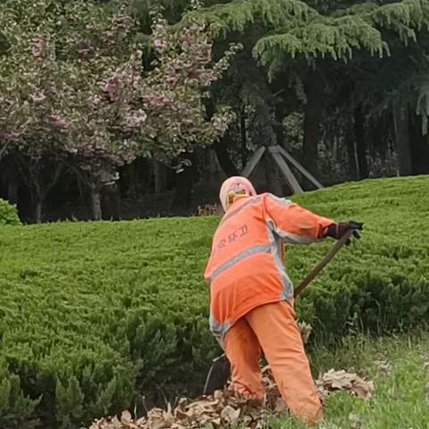 守护绿色风景线  鼎瑞泰沣当先锋