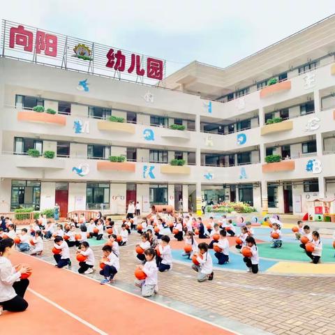 互动共研 互学共长——向阳幼儿园片区开放观摩活动