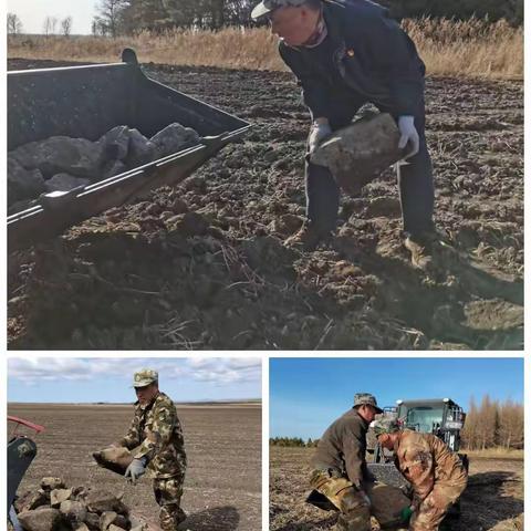 一中队开展“垃圾清理、净化家园”主题党日活动