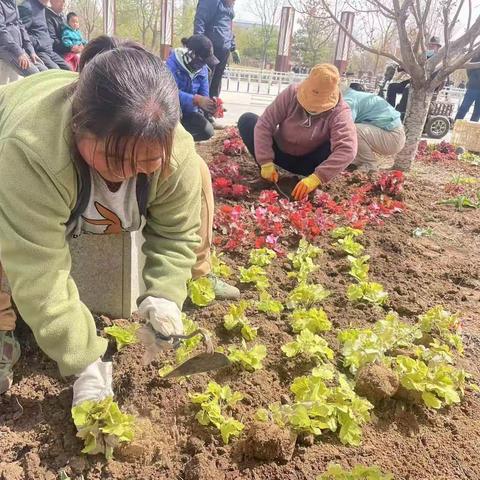 妫川广场圆满完成春季补植任务